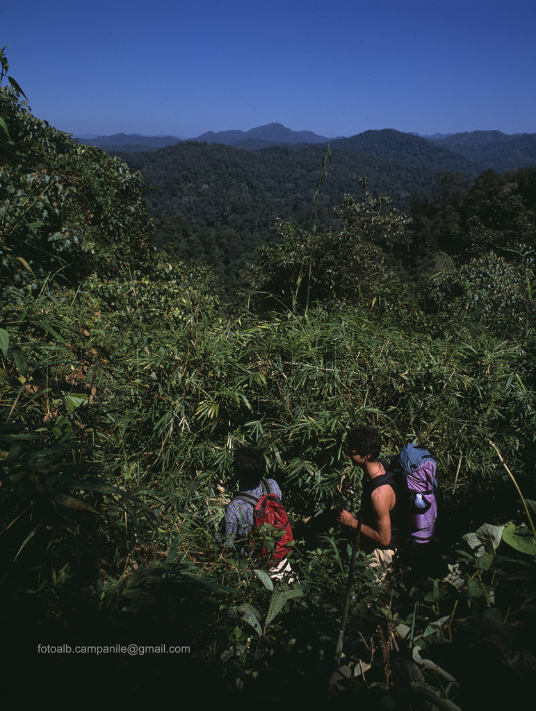 Trekking between Mea Manai and Lahu village, Thailand