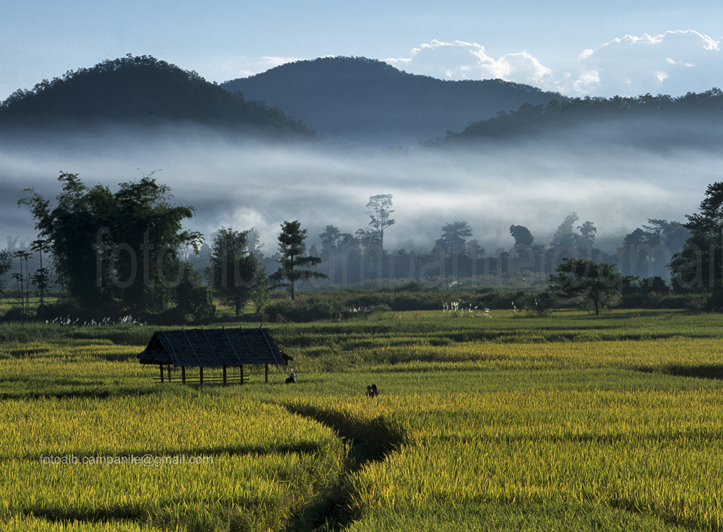 Landscape between Pai and Mae Hong Son, Thailand