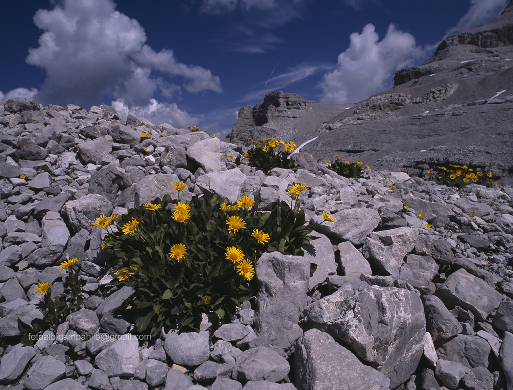 010 FERB 110 Dolomiti di Brenta Vista verso rif 12 Apostoli