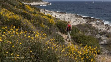 Kamenjak Peninsula, Premantura, Istria, Croatia