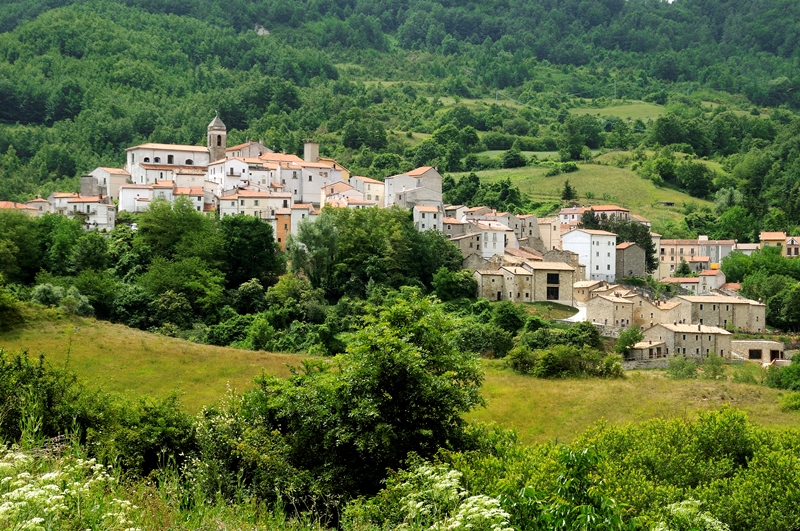 il richiamo della foresta