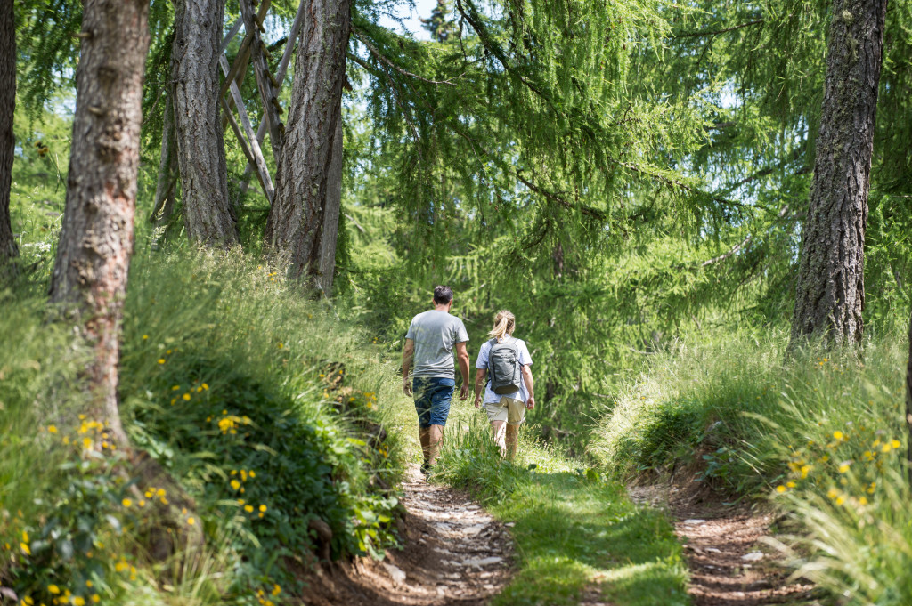 il richiamo della foresta