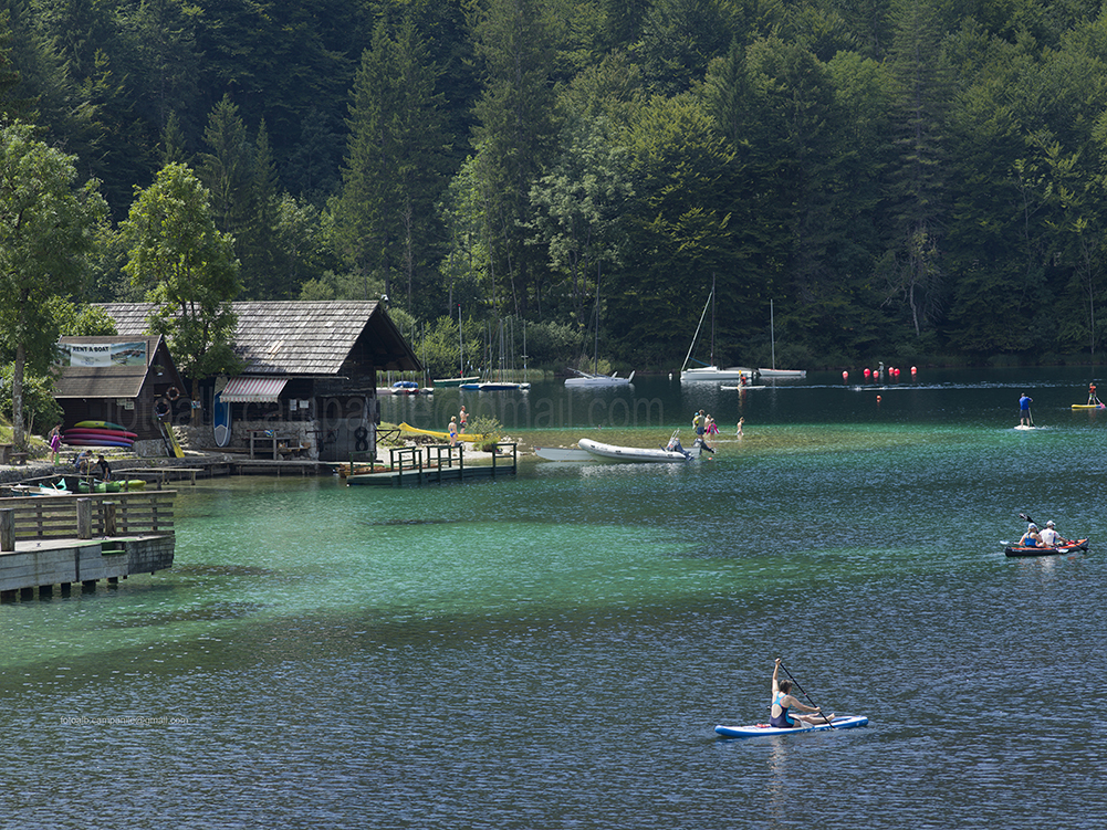 Bohinj area, Slovenia, Europe