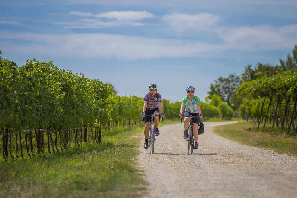 Pedalare tra i vigneti, credits Strada del Vino di Valpolicella