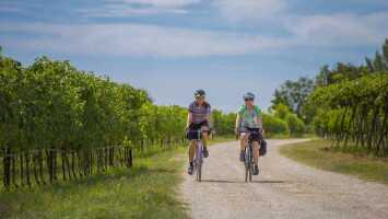 Pedalare tra i vigneti, credits Strada del Vino di Valpolicella