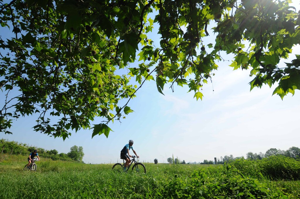 Una pedalata tra i vigneti, credits Archivio Dmo Lago di Garda