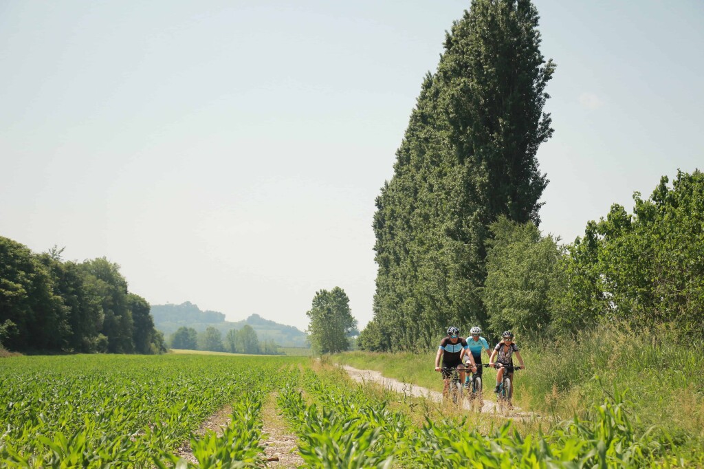 Pedalare tra campi e vigneti nel Garda Veronese