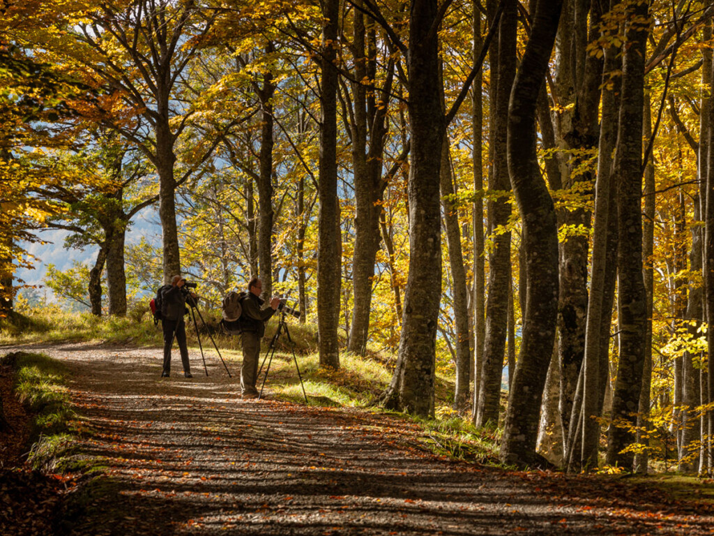 passeggiate d'autunno nel Parco delle Foreste Casentinesi 