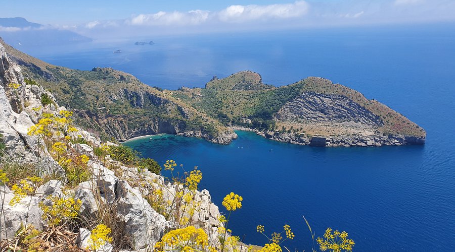 Pensiola sorrentina, Punta Campanella con la Baia di Ieranto